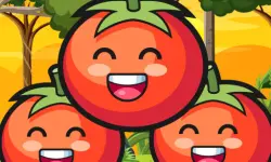 Tomato Ketchup image