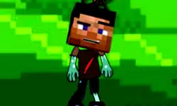 Minecraft Zombie Survial image