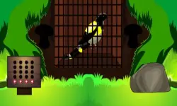 Black Bird Escape image