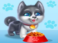 image bg Lovely Dog Daycare