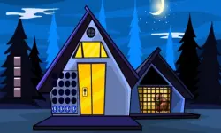 Bear Cub Escape image