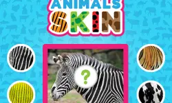 Animals Skin image
