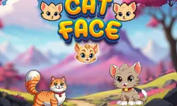 Cat Face image