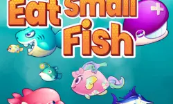 Eat Small Fish image