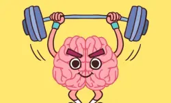 Perfect Brain 3D Puzzle image