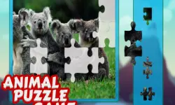 Animal Puzzle Game image