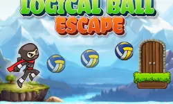 Logical Ball Escape image