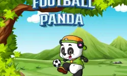 Football Panda image