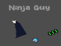 Ninja Guy image