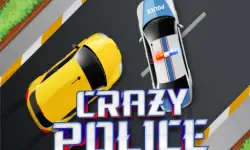 Crazy Police image