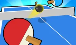 Ping Pong Table Tennis image