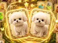 Animal Pair Card Match image