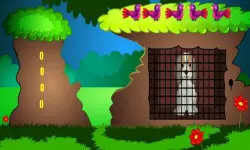 image bg Senior Dog Escape