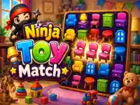 Ninja Toy Match image