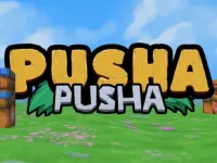 image bg Pusha Pusha