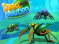 image bg Insect Evolution