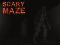 image bg Scary Maze 3D