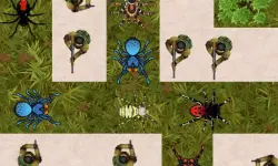 Spider Defense image