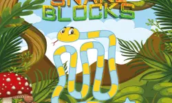 Snake Blocks image