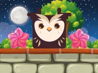 image bg Owl Block