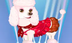 My Cute Dog Daisy image