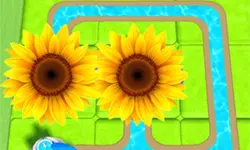 Blossom Paradise image