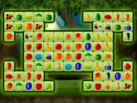 Fruitlinker image