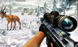 Sniper Hunting Jungle 2022 image