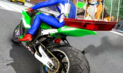 Motorcycle Pet Delivery image