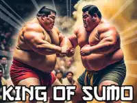 image bg King Of Sumo
