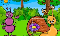 Insect Pic Puzzles image