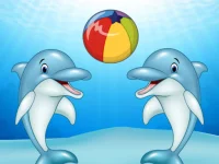 Dolphin Show image