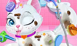 Baby Animals Pet Vet Care image