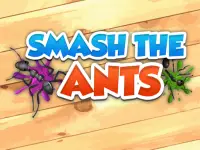 image bg Smash The Ants