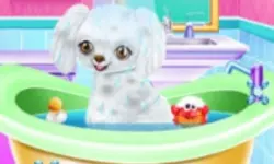My New Poodle Friend - Pet Care Game image