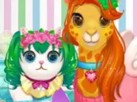 image bg Funy Pet Haircut