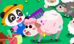 Baby Panda Animal Farm image