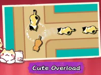 Cat Freeway image