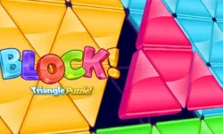 Block Triangle Puzzle image