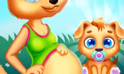 Cute Puppy Pregnant image