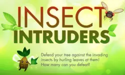 Insect Intruders image