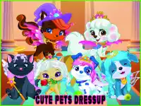 image bg Cute Pets Summer Dress Up