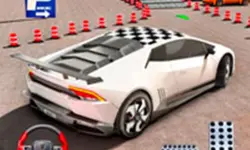 Fish Parking - Parking Master image