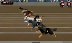 Crazy Dog Racing Simulator Games 3D image
