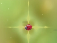 image bg Pest Control