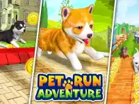 Pet Run Adventure Puppy Run image