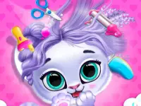 image bg Pets Grooming Bubble Party