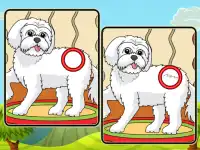Dogs Spot The Differences 2 image