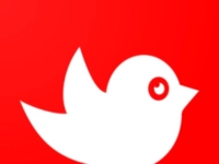 Tappy Bird-22 image