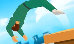 Crazy Backflip 3D image